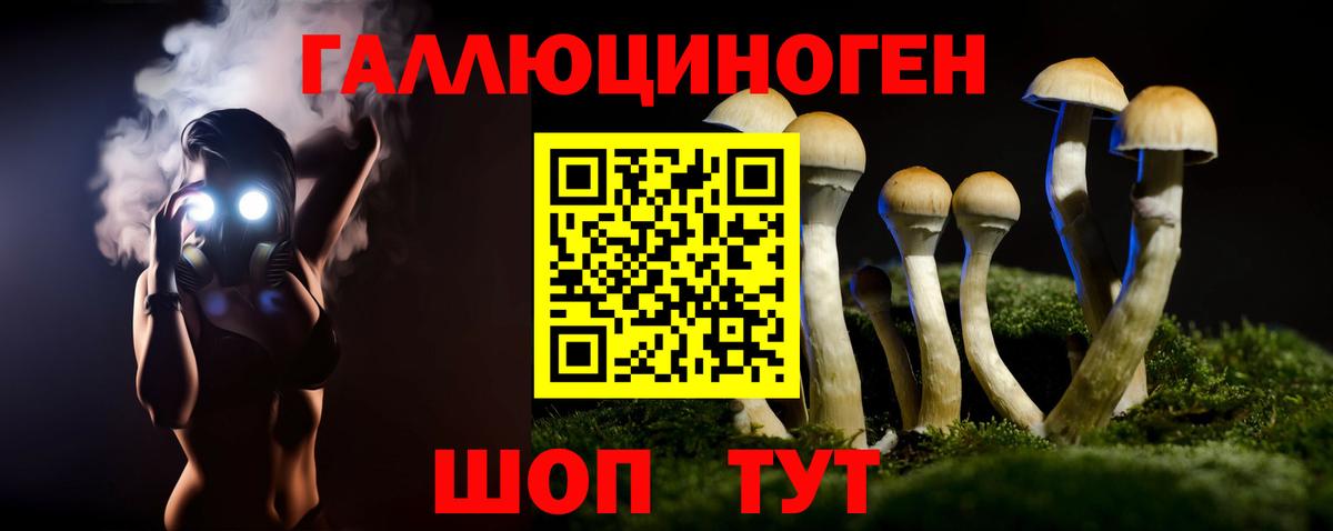 Галлюциногенные грибы GOLDEN TEACHER  Вход с VPN  Алатырь  Галлюциногенные грибы Psilocybine cubensis 